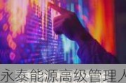 永泰能源高级管理人员李光华增持10万股，增持金额12万元