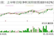 澳华内镜：上半年归母净利润同比预减81.62%至87.79%