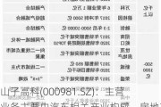 山子高科(000981.SZ)：主营业务主要由汽车相关产业构成，房地产业务占比较小