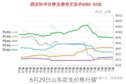 6月29日山东花生价格行情