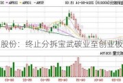 宝钢股份：终止分拆宝武碳业至创业板上市