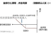 期权的获取条件与市场准入