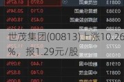 世茂集团(00813)上涨10.26%，报1.29元/股