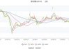 新中港：预计2024年上半年净利同比增长35%-55%