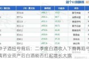 金种子酒扭亏背后：二季度白酒收入下滑再陷亏损 剥离药业资产后白酒能否扛起增长大旗