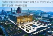 宝武镁业超标排污被罚30万信披不实 中国宝武入主首年营收降16%净利腰斩