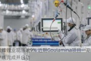 赣锋锂业现涨逾9% 近期Goulamina项目一期破碎产线完成并启动