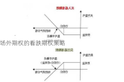 场外期权的看跌期权策略