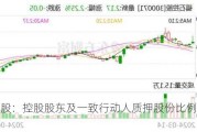 福石控股：控股股东及一致行动人质押股份比例已超80%