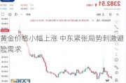 黄金价格小幅上涨 中东紧张局势刺激避险需求