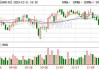 晶华微（688130）盘中异动 股价振幅达9.9%  上涨9%（06-13）