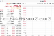 心通医疗-B：上半年预亏 5000 万-6500 万