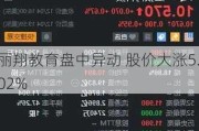 丽翔教育盘中异动 股价大涨5.02%