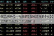 聚氯乙烯PVC：涨幅超3%玻璃涨超1% 20号胶NR涨近2%纸浆跌超1%