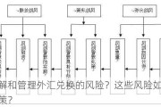 如何理解和管理外汇兑换的风险？这些风险如何影响投资决策？