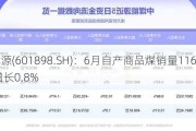 中煤能源(601898.SH)：6月自产商品煤销量1168万吨 同比增长0.8%