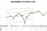 智信精密（301512）：6月12日09时25分触及涨停板