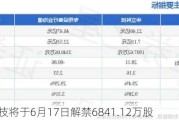 华立科技将于6月17日解禁6841.12万股