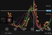 罗杰斯跌0.65% 股价跌破100美元大关