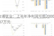 金浦钛业：上半年净利润亏损2000.07万元