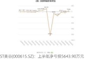 ST美谷(000615.SZ)：上半年净亏损5643.90万元