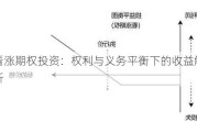 看涨期权投资：权利与义务平衡下的收益解析