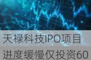 天禄科技IPO项目进度缓慢仅投资60% 市场需求疲软净利三年降92%遭问询