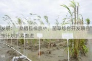 平潭发展：“勐腊县橡胶林、菌草综合开发项目”建设正按计划抓紧推进