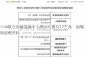 中华联合财险宜昌中心支公司被罚12万元：因编制虚假资料