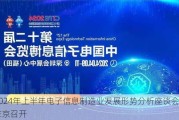 2024年上半年电子信息制造业发展形势分析座谈会在京召开