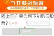 网上***后为何不能购买股票？