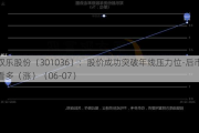 双乐股份（301036）：股价成功突破年线压力位-后市看多（涨）（06-07）