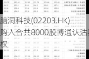 脑洞科技(02203.HK)购入合共8000股博通认沽期权