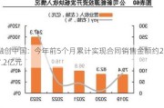 融创中国：今年前5个月累计实现合同销售金额约247.2亿元