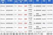 永泰能源董事常胜秋增持20万股，增持金额24.4万元