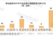 酒便利：2024 年 6 月河南新三板企业市值榜首，13 家企业冲击北交所