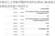 湘财股份：上半年归母净利润同比降46.3% 参股公司大智慧投资收益-1952万元