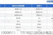 ST高鸿（000851）：7月18日13时06分触及涨停板