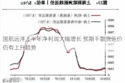 国航远洋上半年净利润大幅增长 预期干散货运价仍有上升趋势