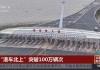 大湾区融合新里程碑！“港车北上”突破100万辆次