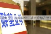 照金矿业、宝坪铜业：被责令停产整顿