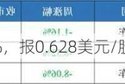 车车-A下跌6.03%，报0.628美元/股