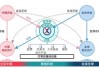 如何在全球金融市场中评估PT投资潜力？这种投资潜力如何影响资产配置策略？