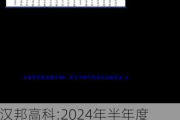 汉邦高科:2024年半年度非经营性资金占用及其他关联资金往来情况汇总表