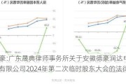 ST德豪:广东晟典律师事务所关于安徽德豪润达电气股份有限公司2024年第二次临时股东大会的法律意见书