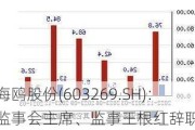 海鸥股份(603269.SH)：监事会主席、监事王根红辞职