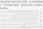 开源证券给予新凤鸣买入评级，公司信息更新报告：Q2业绩环比增长，看好金九银十长丝盈利迎来修复