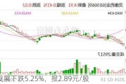 财信发展下跌5.25%，报2.89元/股