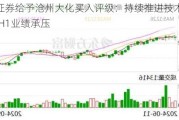 国海证券给予沧州大化买入评级：持续推进技术进步，2024H1业绩承压