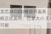 龙芯2K0300蜂鸟开发系统正式发布：巴掌大小 无限可能